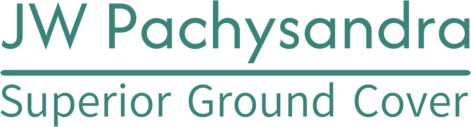 JW Pachysandra Logo